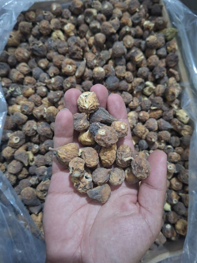 انجیر خشک طارم عطر بی نظیر