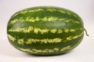 هندوانه بیضی
