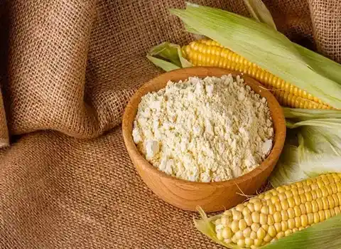 تصویر 1 از خرید اینترنتی نشاسته با بهترین قیمت و ارسال سریع
