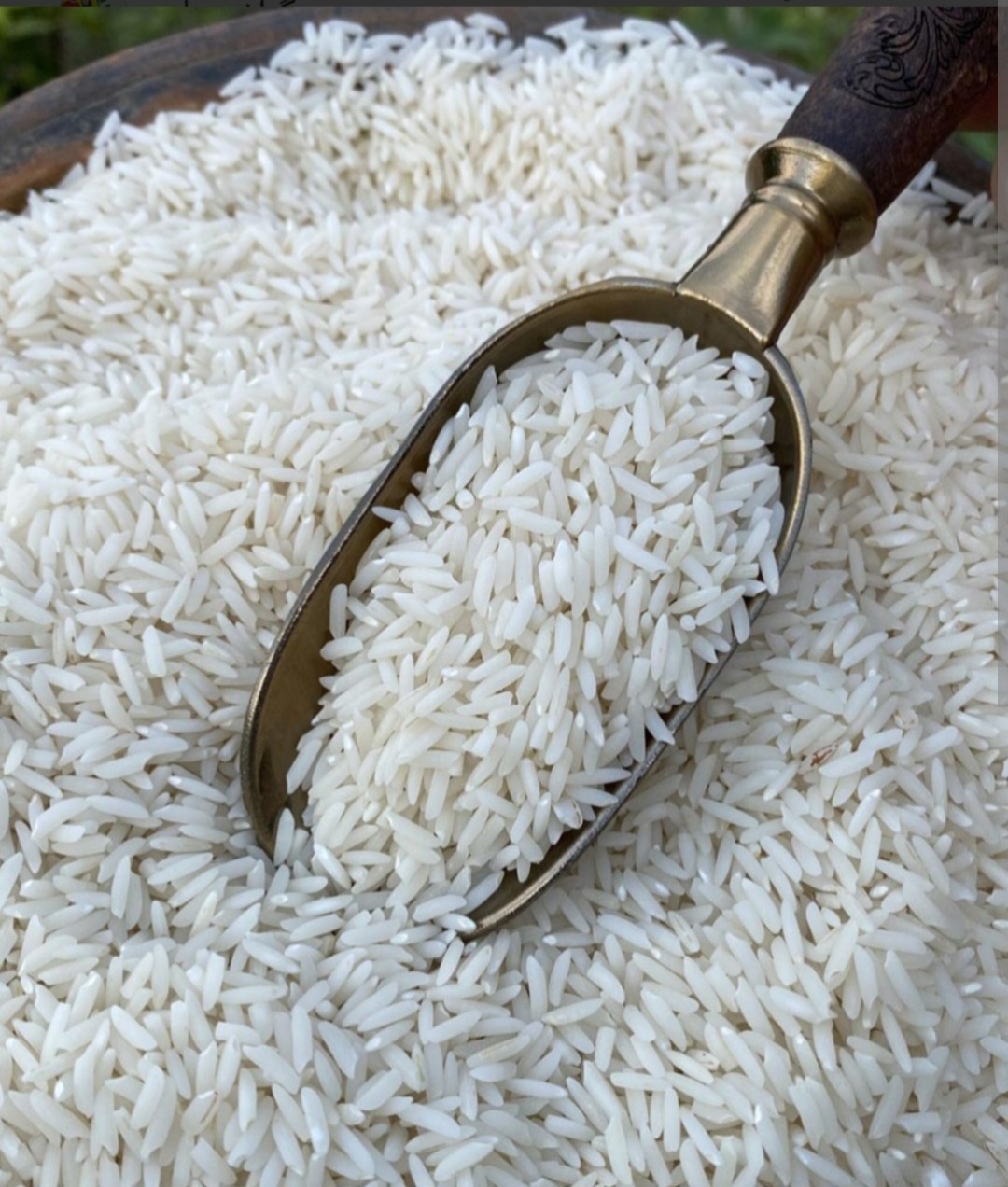 فروش برنج طارم هاشمی اعلا و معطر