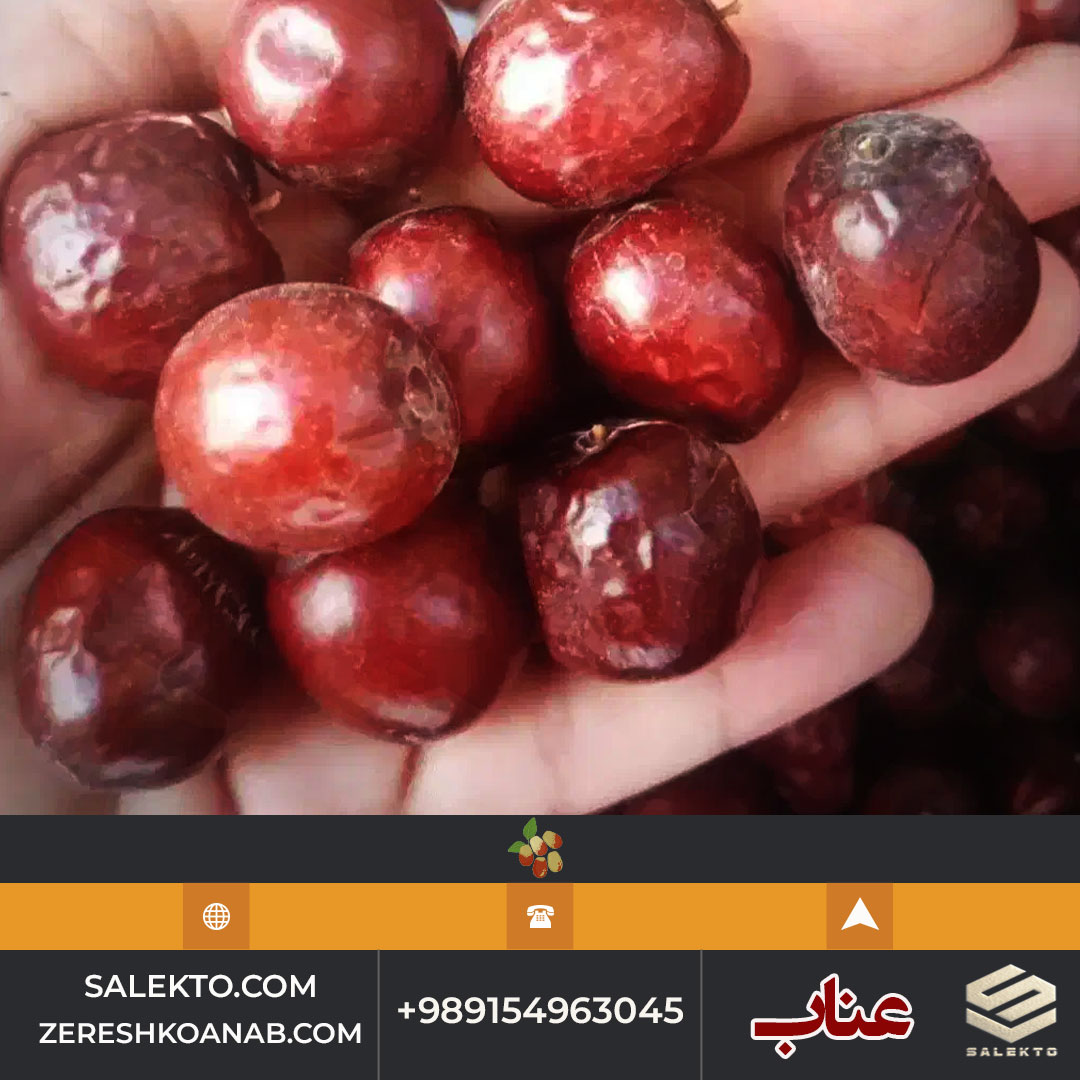 تصویر 2 از خرید عناب خشک ارگانیک بیرجند با دانه‌ های درشت و گوشت نرم