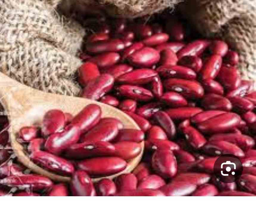 تصویر 1 از خرید و فروش کنسرو لوبیا قرمز + فروش ویژه