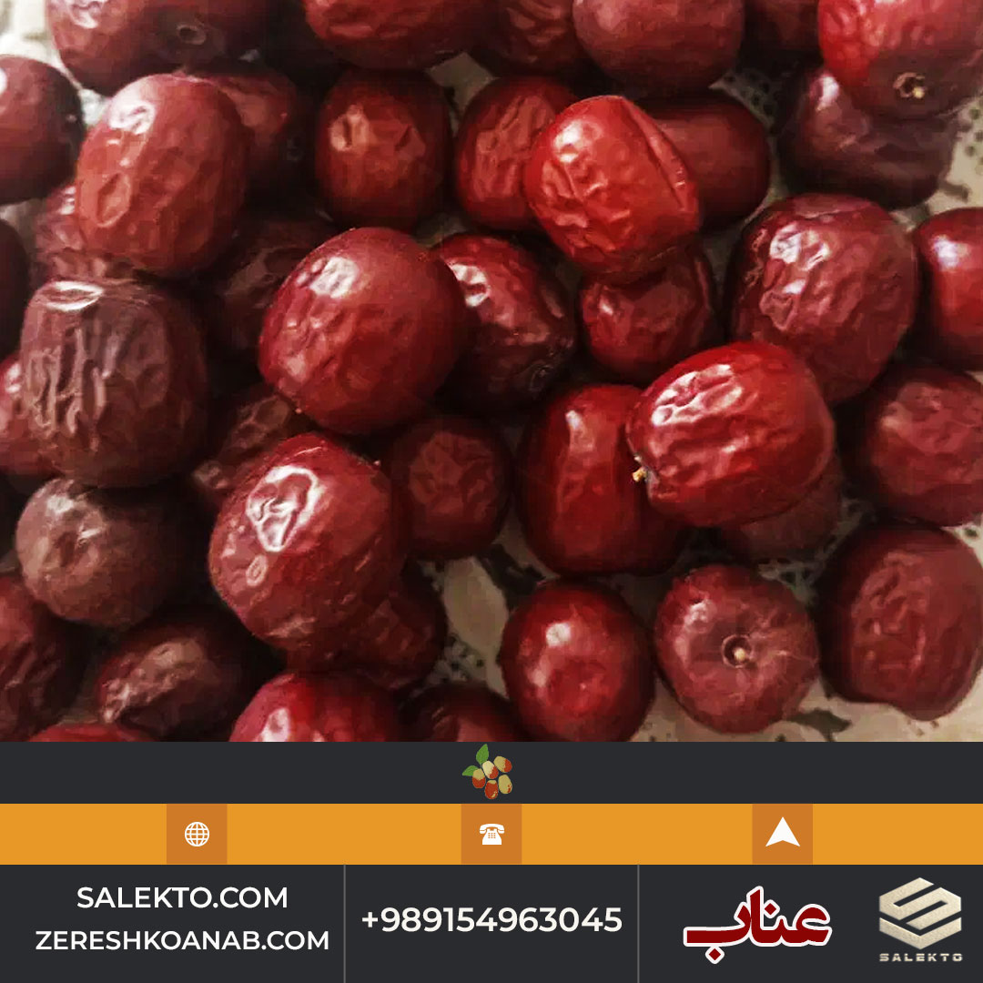 تصویر 5 از خرید عناب خشک سالکتو برای دمنوش و حبه عناب