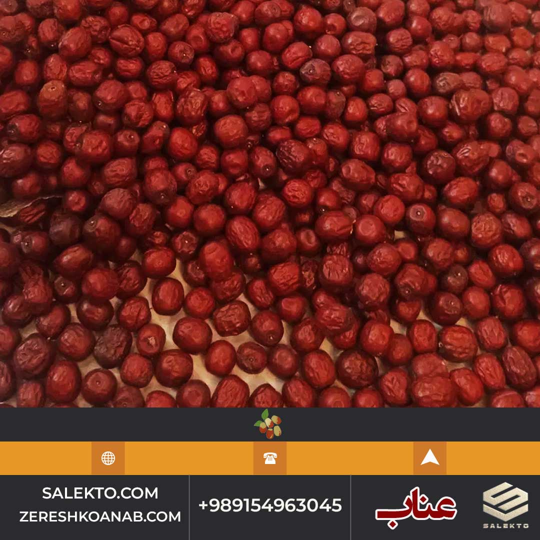 تصویر 3 از خرید عناب خشک سالکتو برای دمنوش و حبه عناب