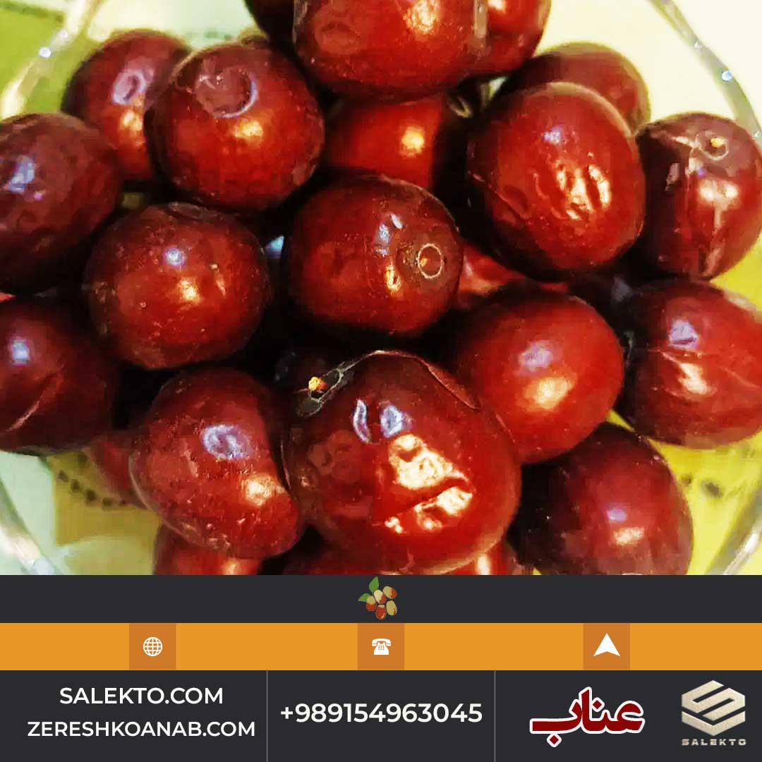تصویر 2 از عناب خشک ممتاز خراسان جنوبی با خواص آرام‌ بخش و ضد استرس