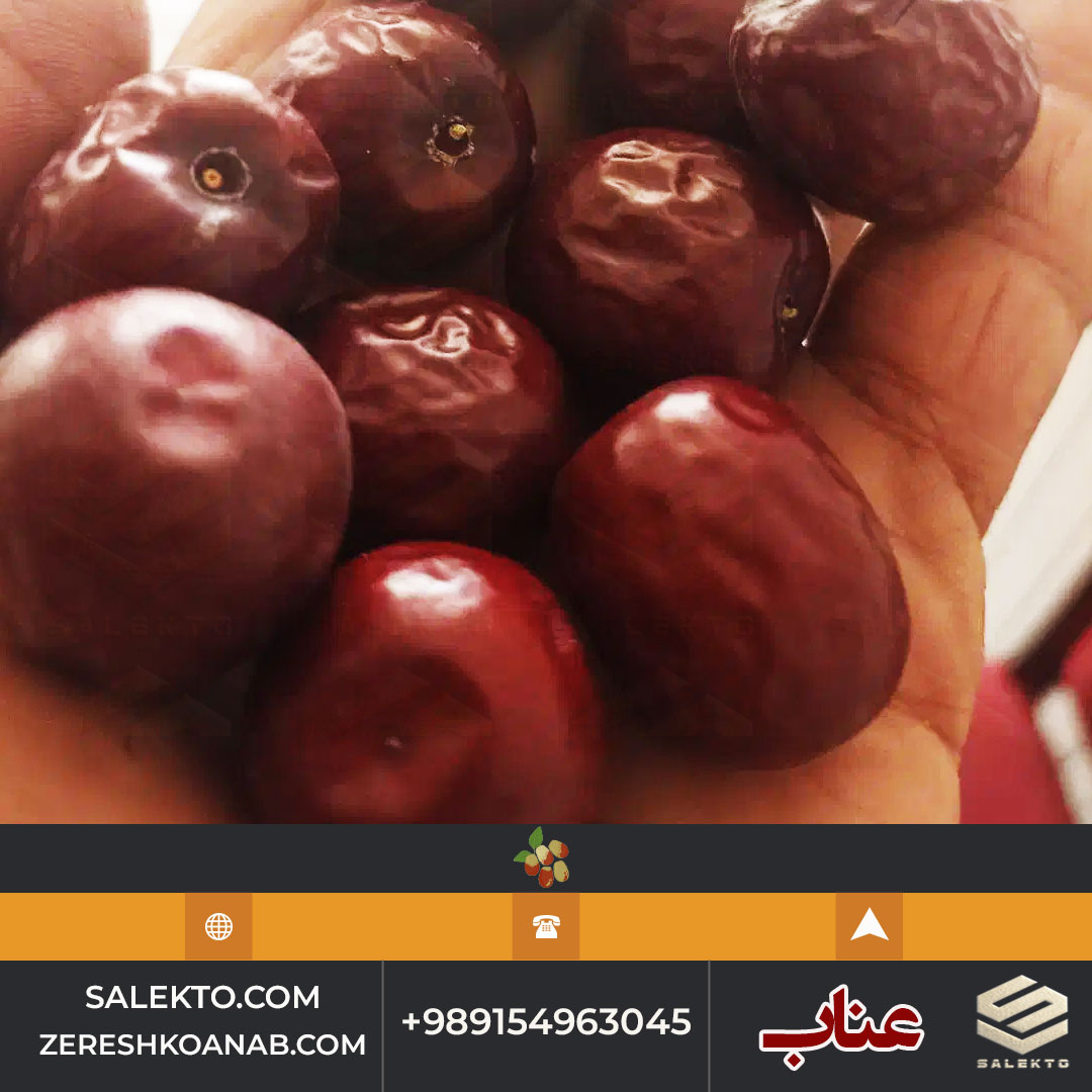 تصویر 4 از عناب خشک ممتاز خراسان جنوبی با خواص آرام‌ بخش و ضد استرس