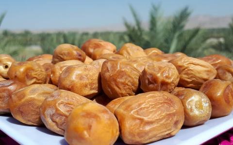 تصویر 4 از فروش خرما زاهدی اهواز + قیمت خرید به صرفه
