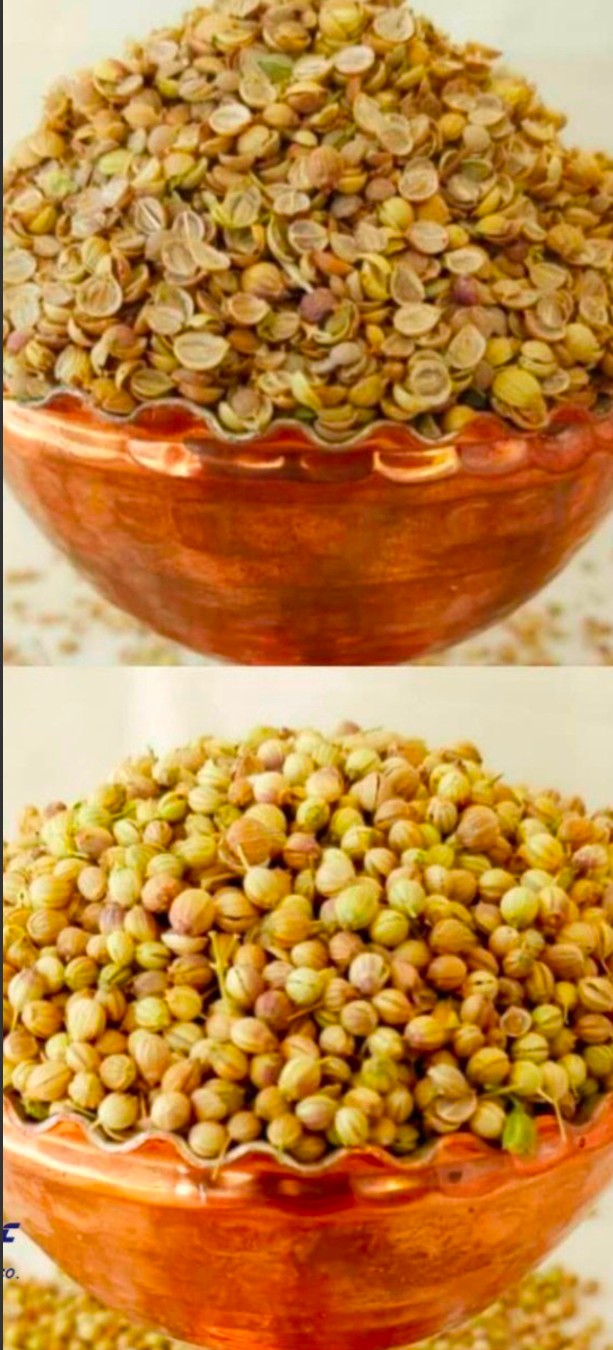 تصویر 1 از خرید بذر گشنیز در یزد + خشک تازه