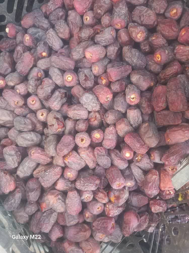 تصویر 2 از قیمت تفاله خرما