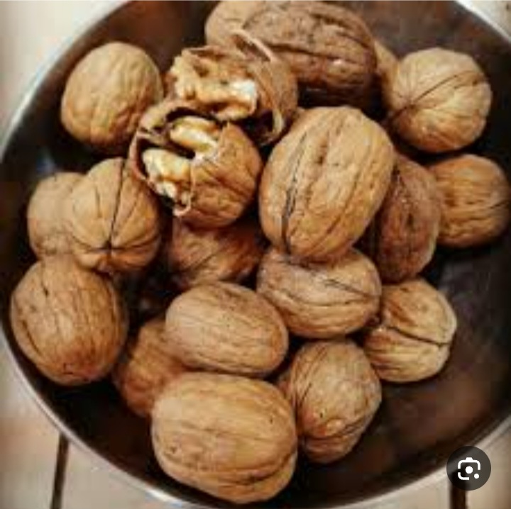 فروش گردو کاغذی + فروش عمده با شرایط ویژه