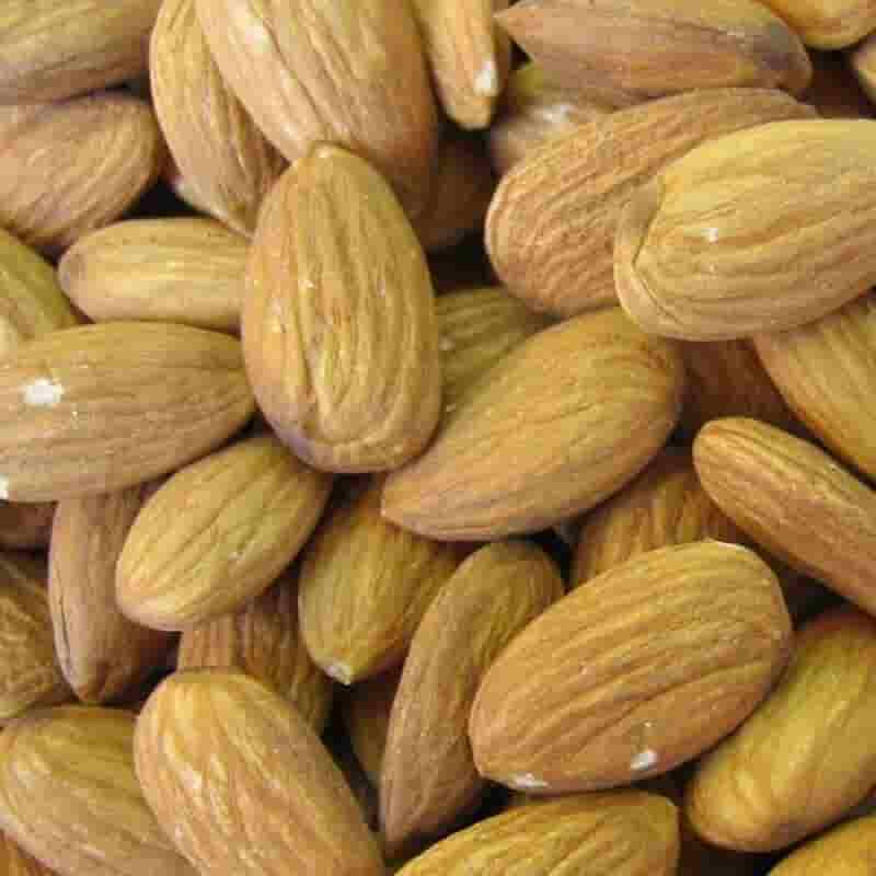 تصویر 4 از قیمت بادام کوهی با کیفیت ارزان + خرید عمده