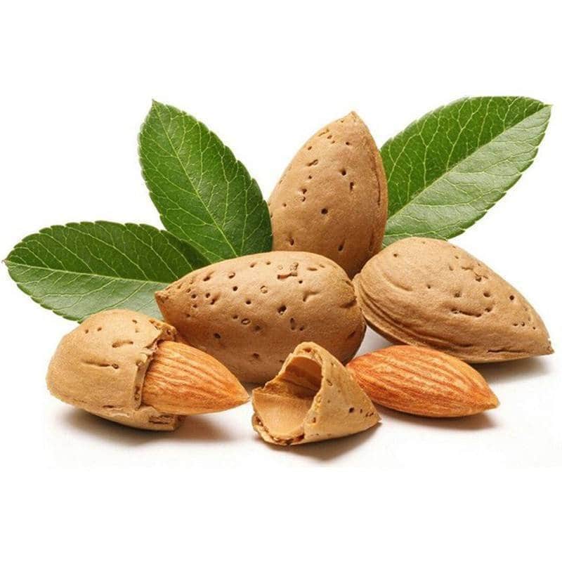 تصویر 1 از قیمت بادام کوهی با کیفیت ارزان + خرید عمده