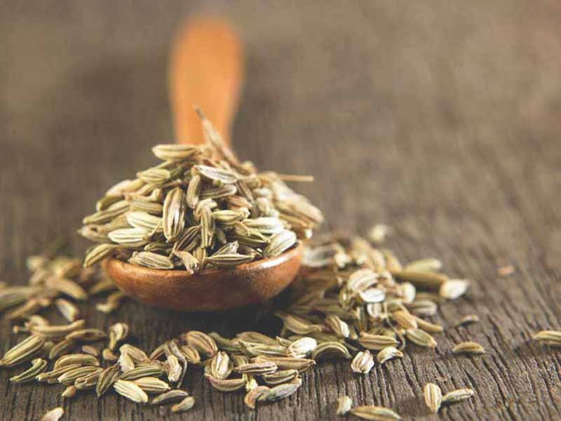 تصویر 3 از خرید و قیمت زیره سبز + فروش عمده