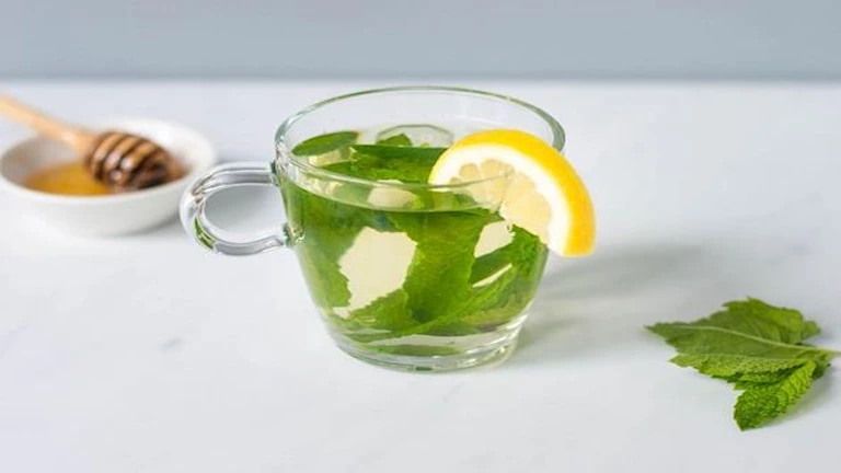 تصویر 5 از خرید و قیمت عرق کاسنی + فروش عمده