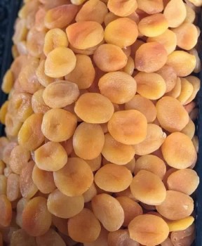 تصویر 1 از قیسی زردآلو تبریز + فروش ویژه