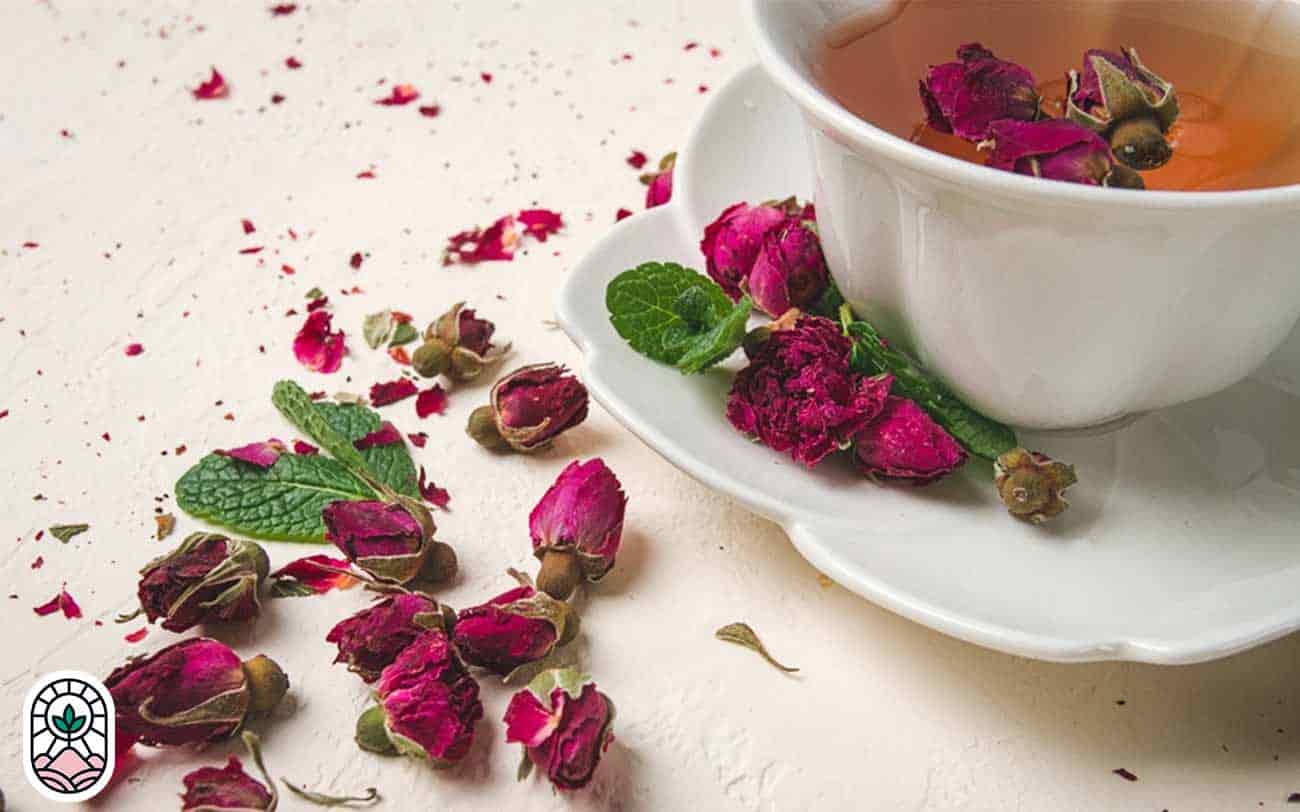 تصویر 4 از خرید و قیمت چای گل محمدی + فروش عمده