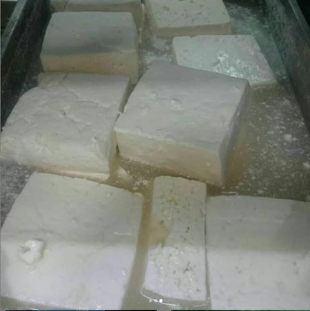 تصویر 1 از فروش پنیر گوسفندی تبریز+فروش حلبی وعمده