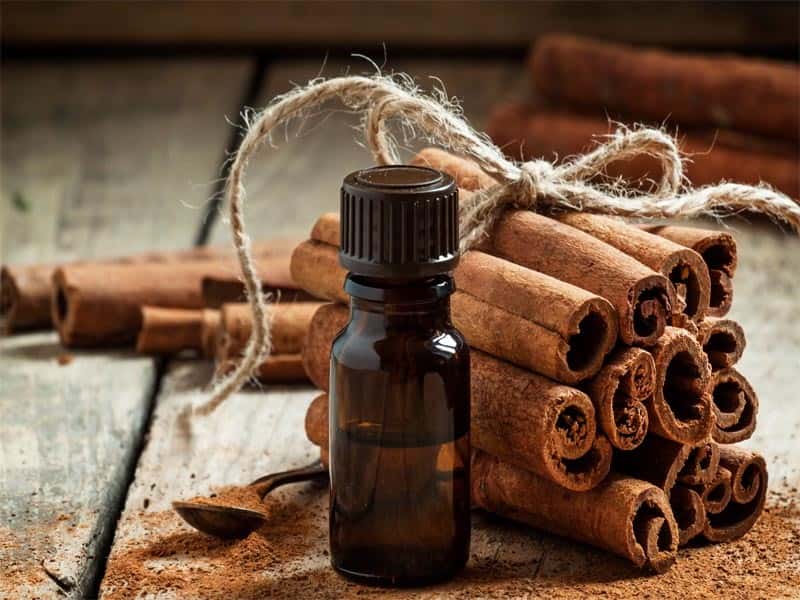 فروش دمنوش دارچین