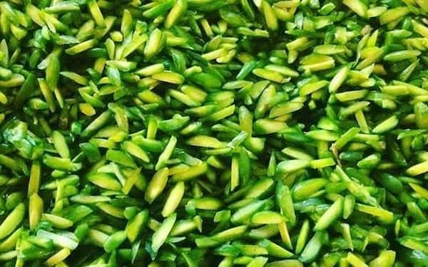 تصویر 2 از خرید خلال پسته ریز + قیمت عالی باکیفیت