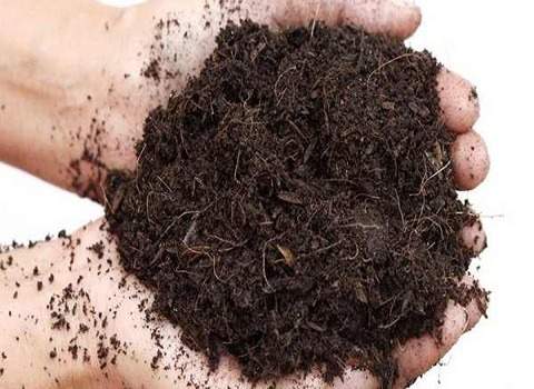 تصویر 2 از قیمت خرید کود ورمی کمپوست + فروش ویژه