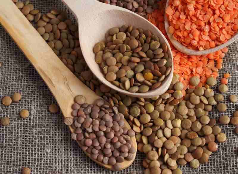 تصویر 4 از قیمت خرید عدس عمده به صرفه و ارزان