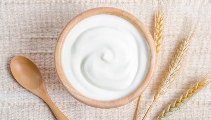 تصویر 5 از فروش ماست کیسه ای + قیمت خرید به صرفه