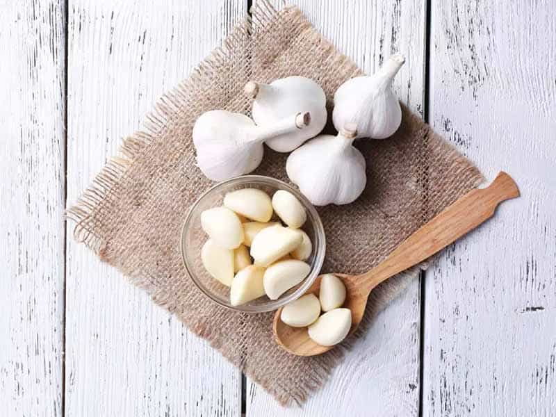 تصویر 4 از خرید و قیمت پودر سیر + فروش عمده