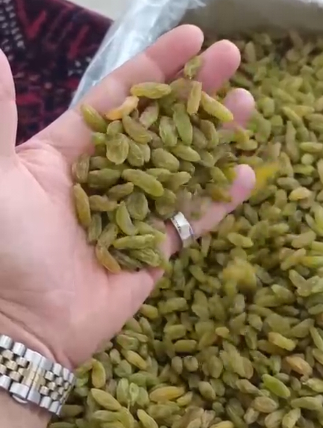 تصویر 1 از خرید و قیمت عمده کشمش سبز قلمی کاشمر بدون واسطه