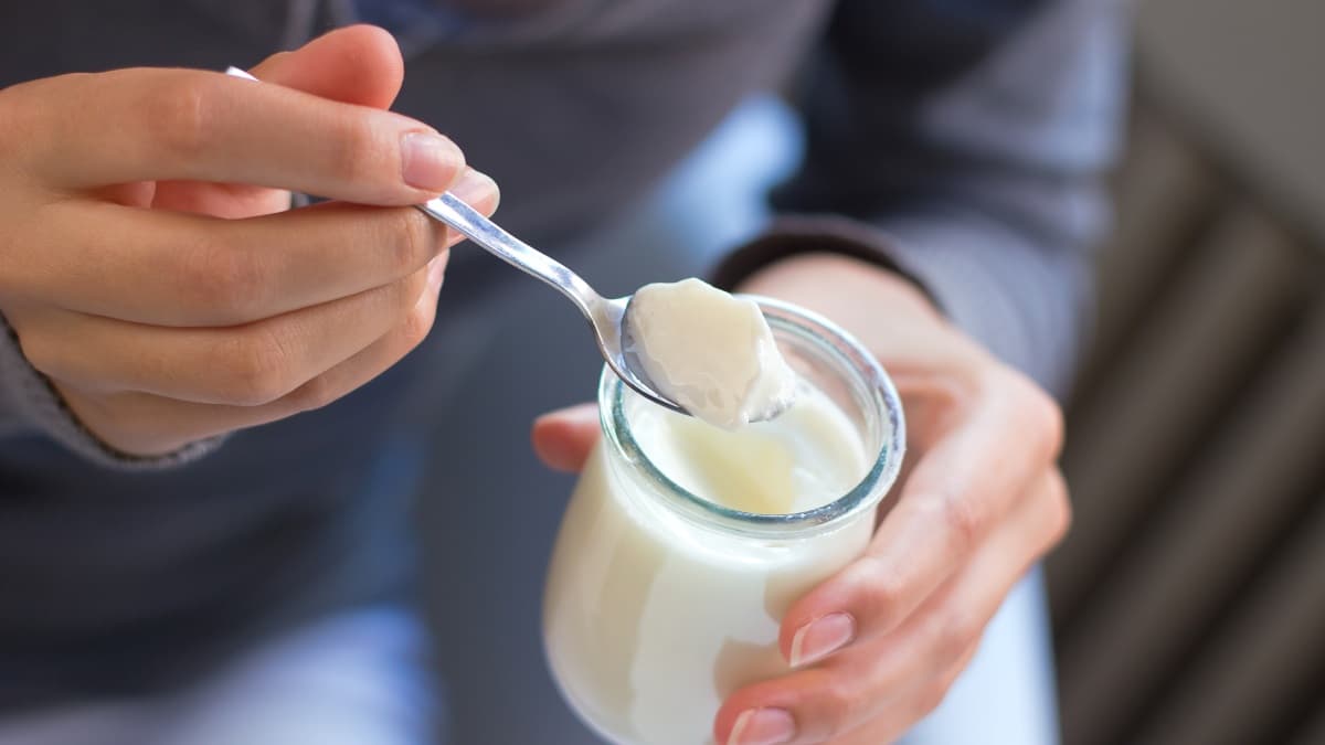 تصویر 4 از خرید و فروش ماست پروبیوتیک یونانی با شرایط فوق العاده