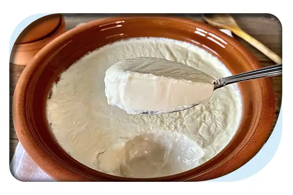 تصویر 3 از قیمت خرید ماست ایسلندی + فروش ویژه