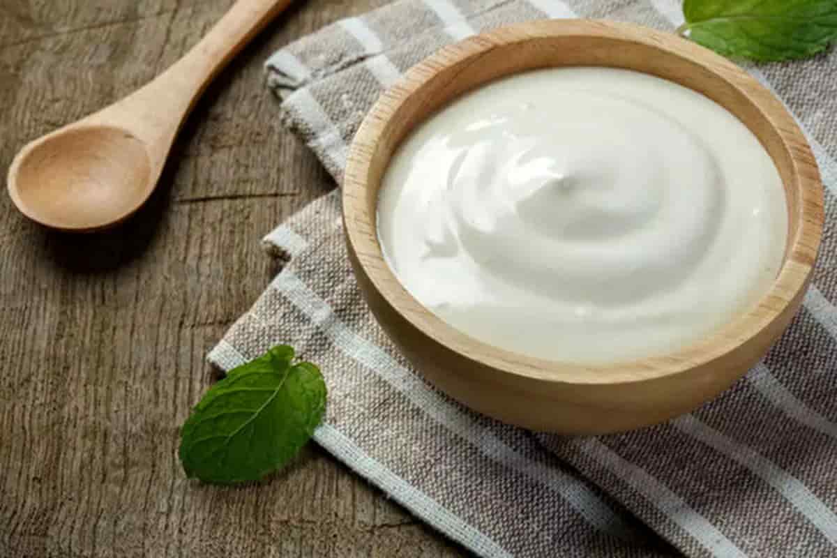 تصویر 5 از خرید و فروش ماست کم چرب پروبیوتیک با شرایط فوق العاده