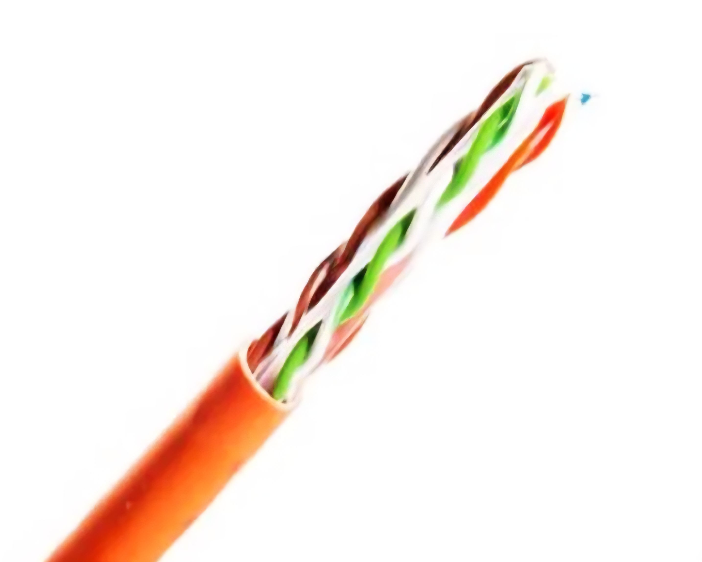 کابل شبکه رویان CAT6 UTP PVC + فروش