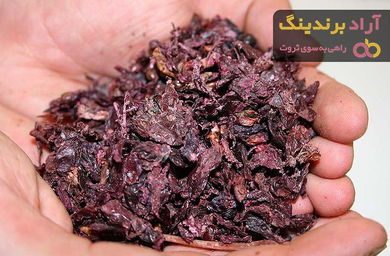 تصویر 2 از قیمت تفاله انگور + خرید