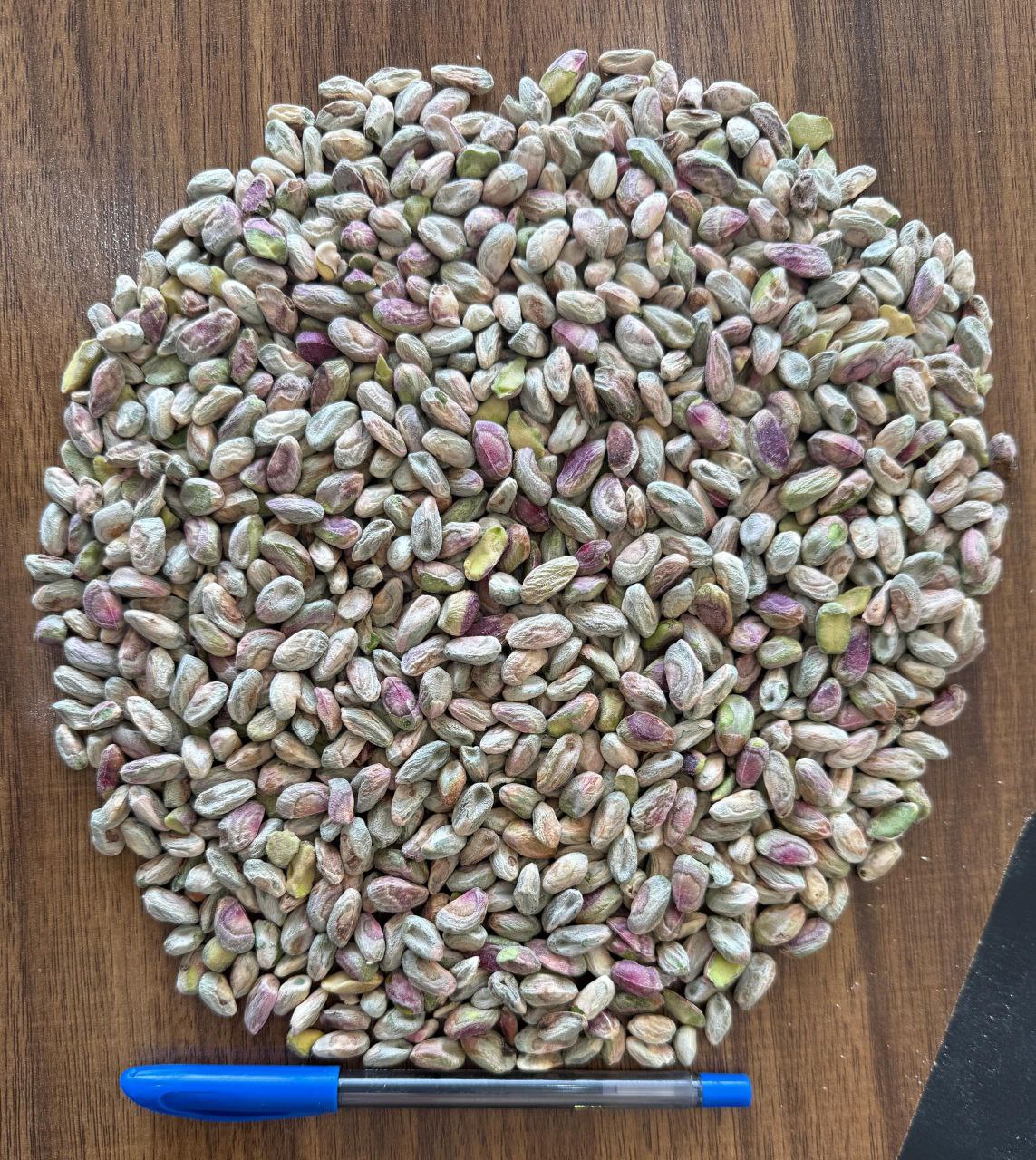تصویر 1 از پسته مرغوب امسالی + خرید