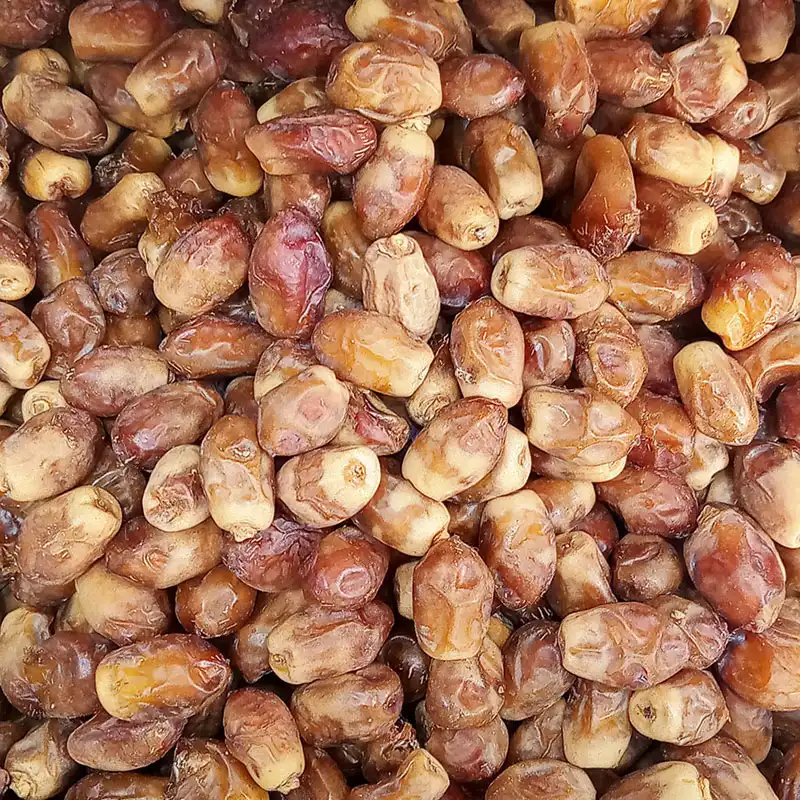 تصویر 2 از قیمت فروش خرما زاهدی صادراتی با بهترین کیفیت