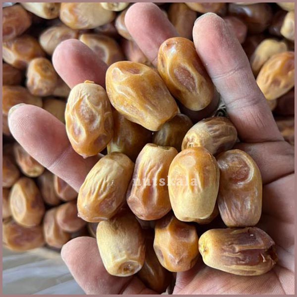 تصویر 1 از خرید عمده خرما زاهدی + بهترین کیفیت