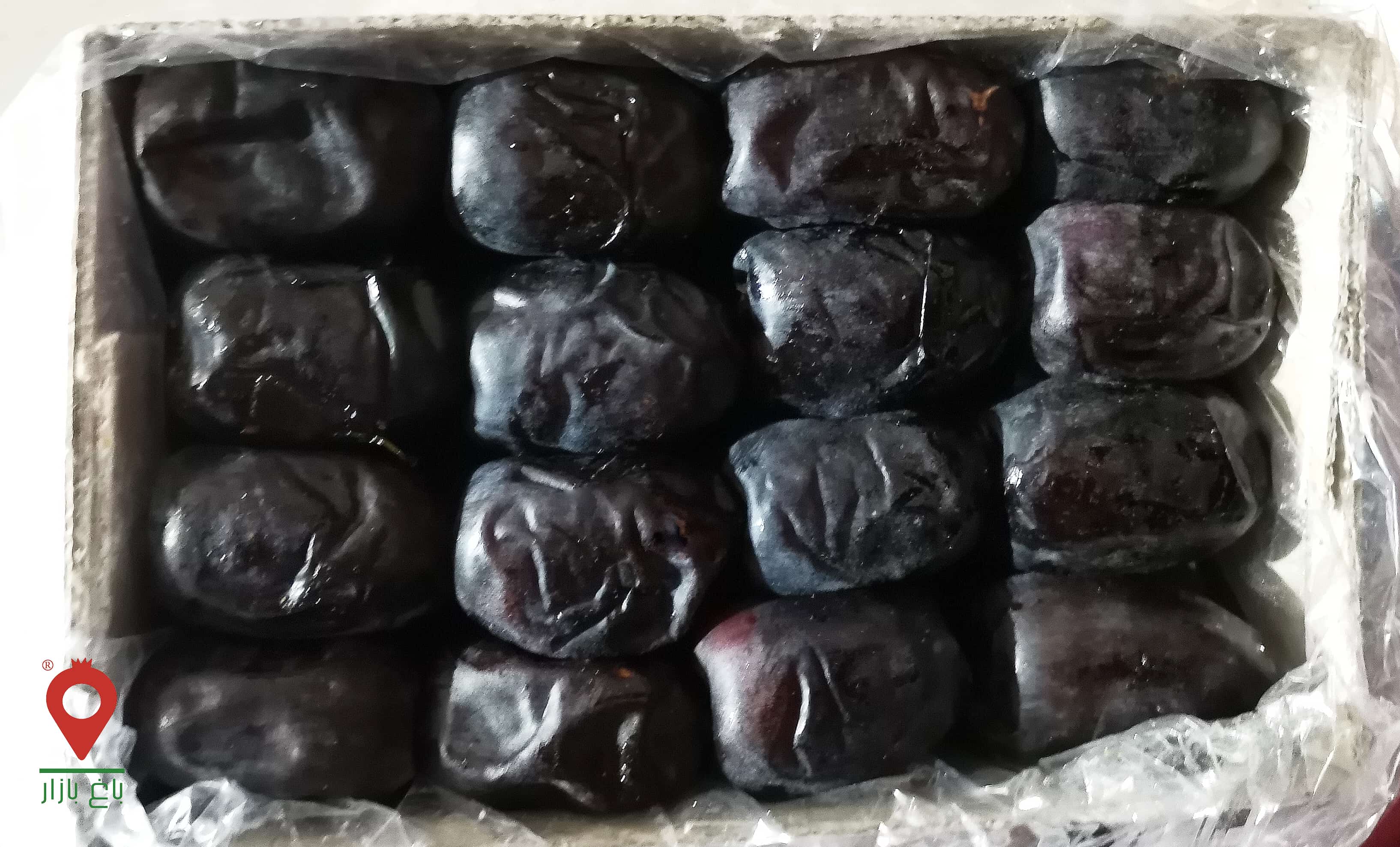 خرید خرما مضافتی + قیمت باور نکردنی
