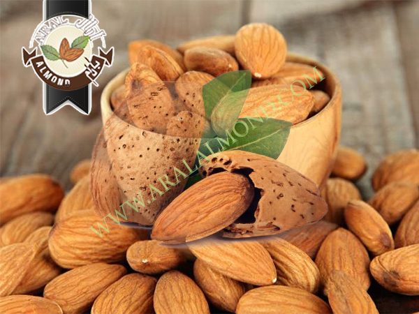 تصویر 3 از بادام سنگی مرغوب + خرید به صرفه