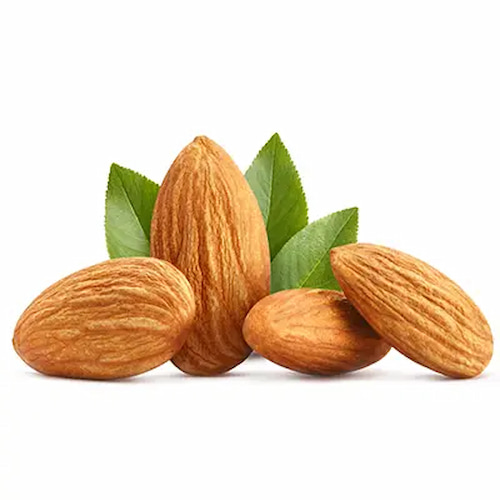 تصویر 1 از قیمت بادام سنگی + خرید باور نکردنی