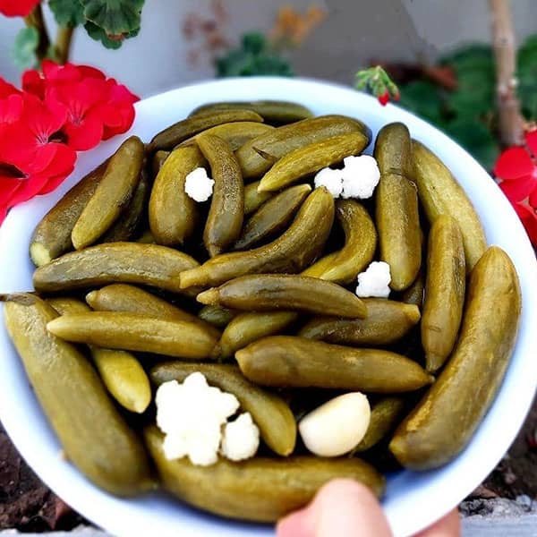 تصویر 4 از قیمت خرید خیار شور سرکه ای + فروش ویژه
