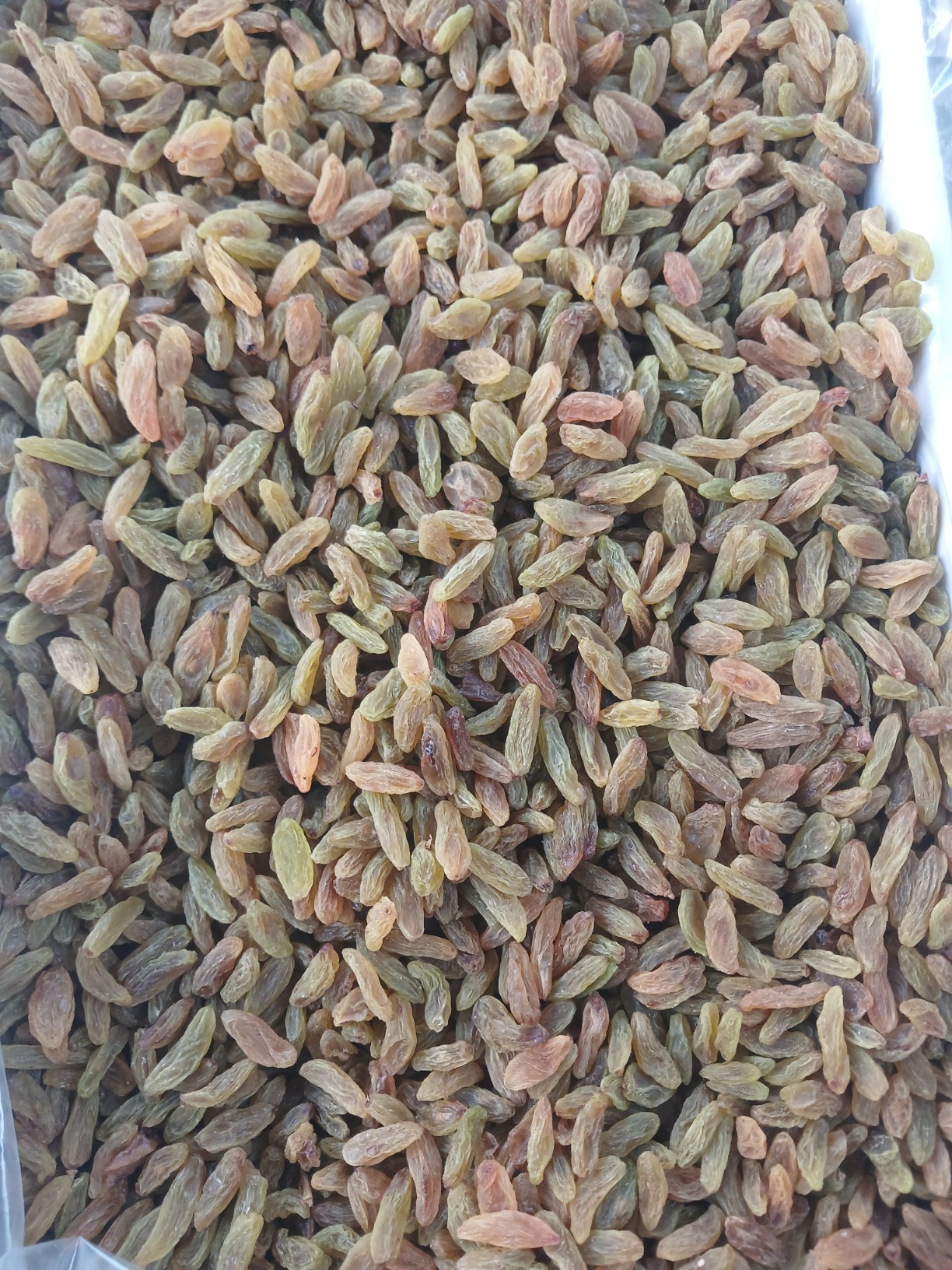 تصویر 1 از خرید کشمش + با قیمت همکاری