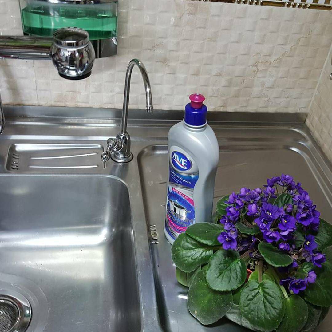 تصویر 2 از خرید عمده مایع ظرفشویی اوه