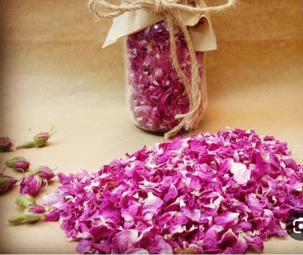گل محمدی