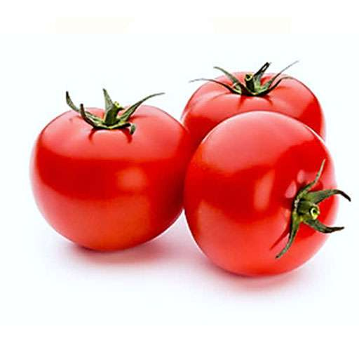 خرید گوجه فرنگی  + بهترین قیمت