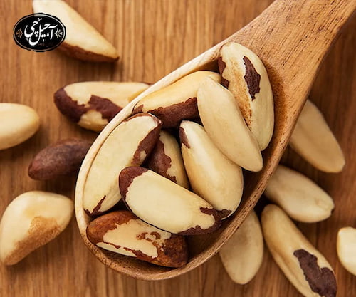 تصویر 2 از قیمت بادام برزیلی با کیفیت ارزان + خرید عمده