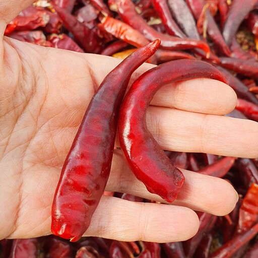 تصویر 3 از خرید و فروش عمده فلفل قرمز صادراتی با قیمت ویژه