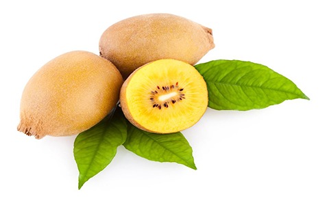 تصویر 5 از قیمت کیوی هایوارد طلایی با کیفیت ارزان + خرید عمده