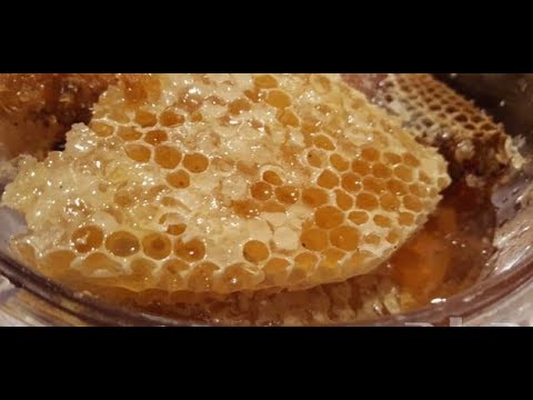 تصویر 3 از خرید عمده عسل کوهی با بهترین قیمت