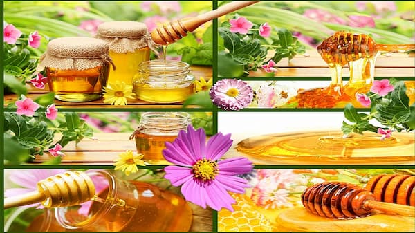 فروش اینترنتی عسل گل + تضمین قیمت