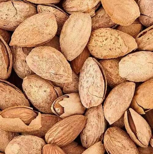 تصویر 5 از فروش بادام منقا + قیمت خرید به صرفه